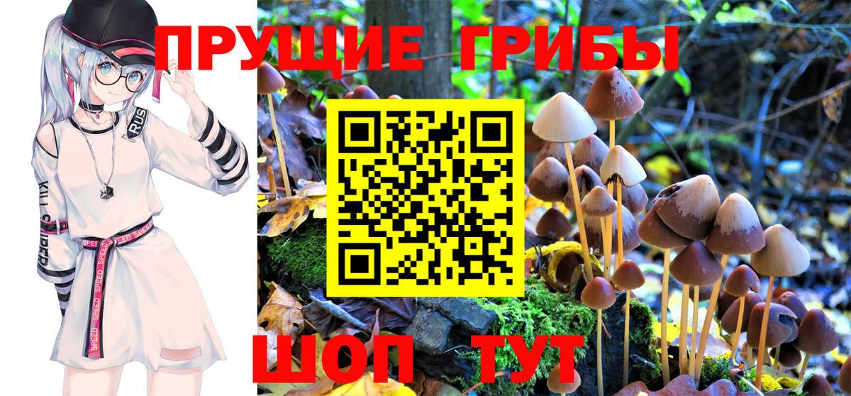 Псилоцибиновые грибы Magic Shrooms  Вход с VPN  Галлюциногенные грибы мухоморы  Можайск 